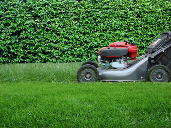 Lawn-mower-smaller