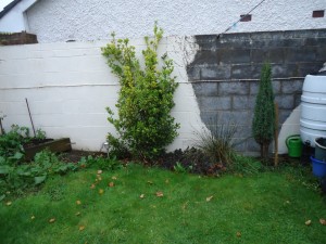 Dwarf wall before